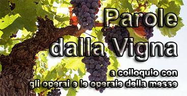 Parole dalla Vigna: interviste agli operai e alle operaie della Vigna del Signore